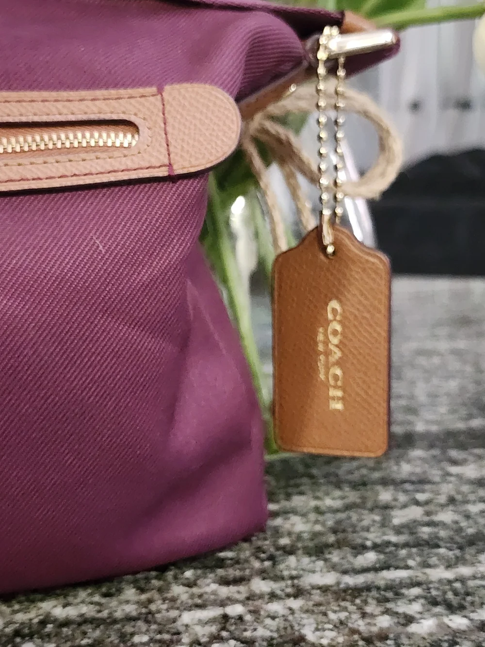 Coach purple crossbody